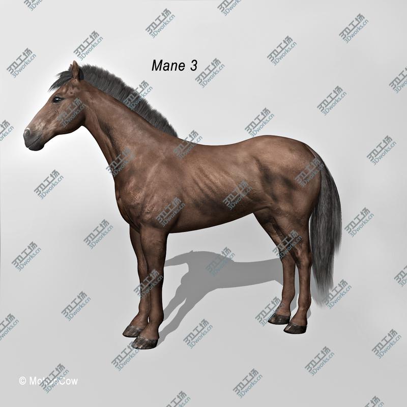 images/goods_img/20210115/3D Sicarius Archer/4.jpg